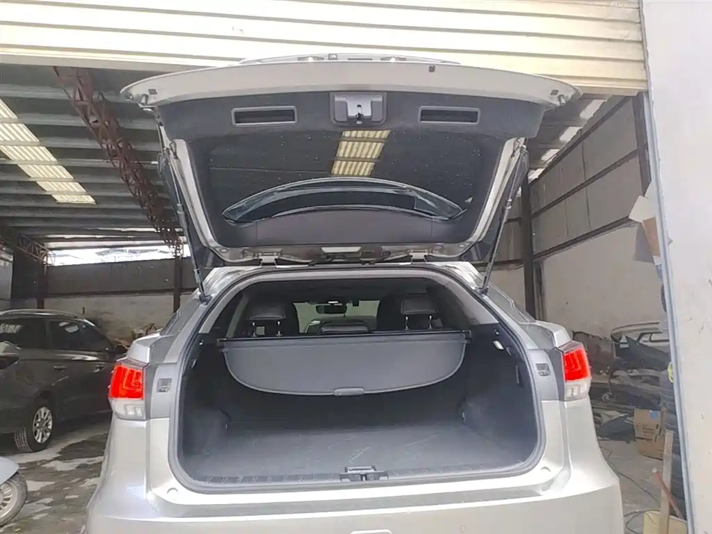 Lexus RX 2020 Facelift 300 2WD Elite Edition фото 19