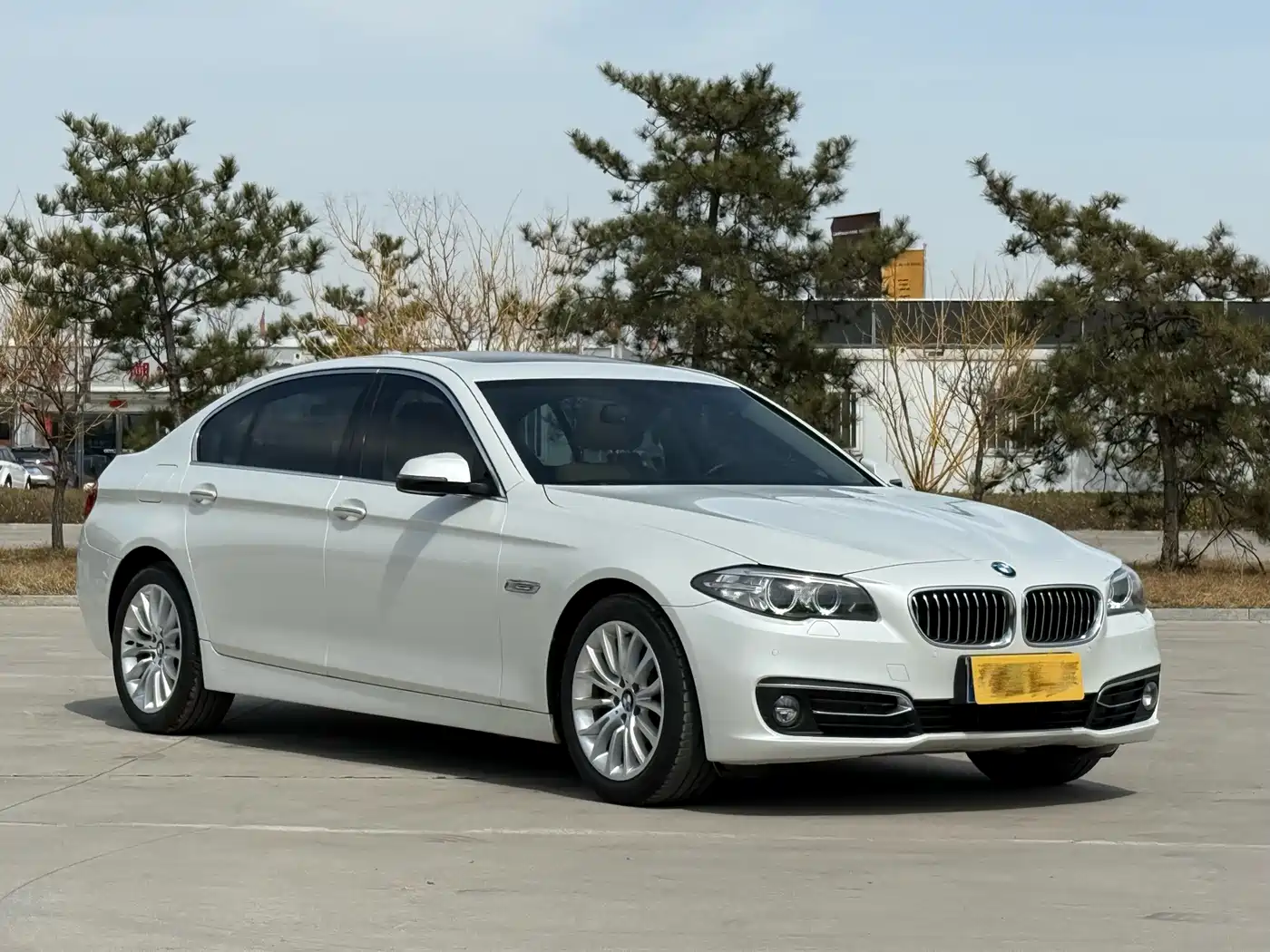 BMW 5 Series 2014 525Li Luxury Design Package фото 4