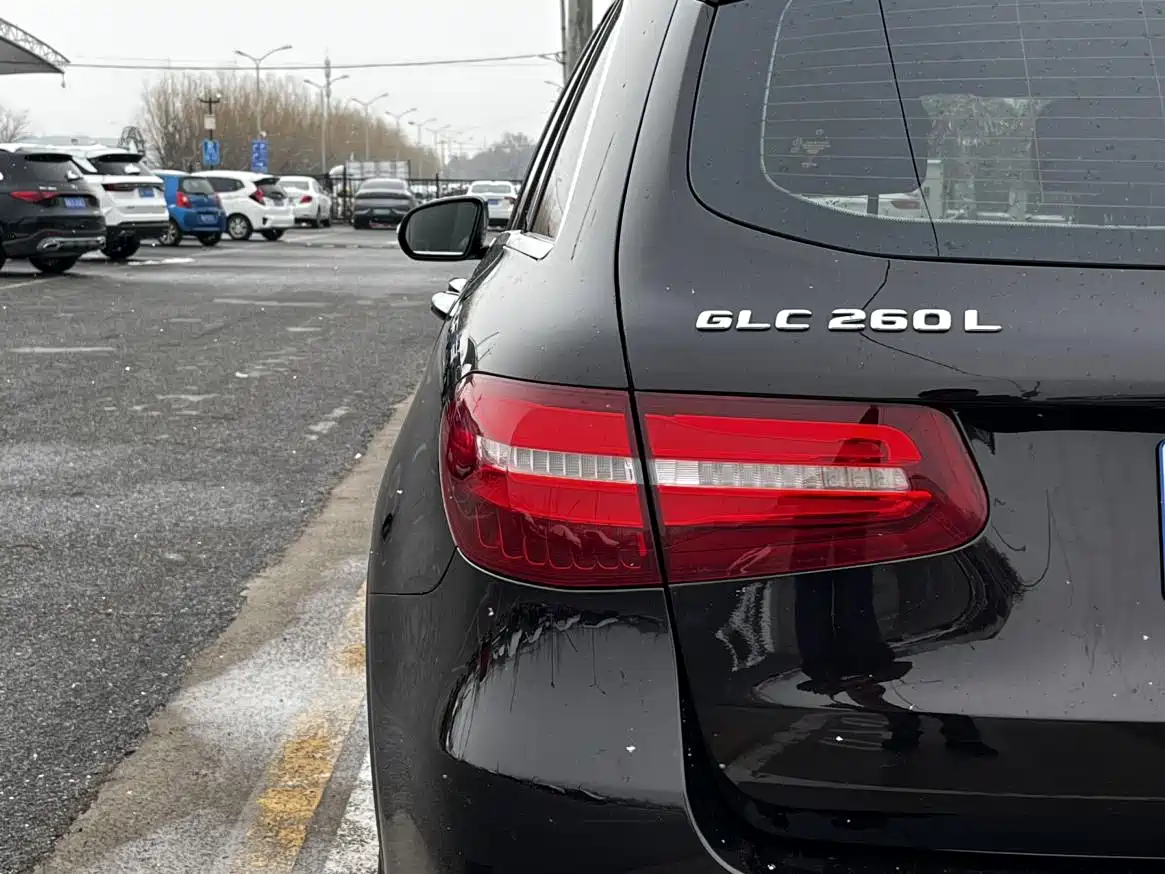 Mercedes-Benz GLC 2019 GLC 260 4MATIC Dynamic фото 8
