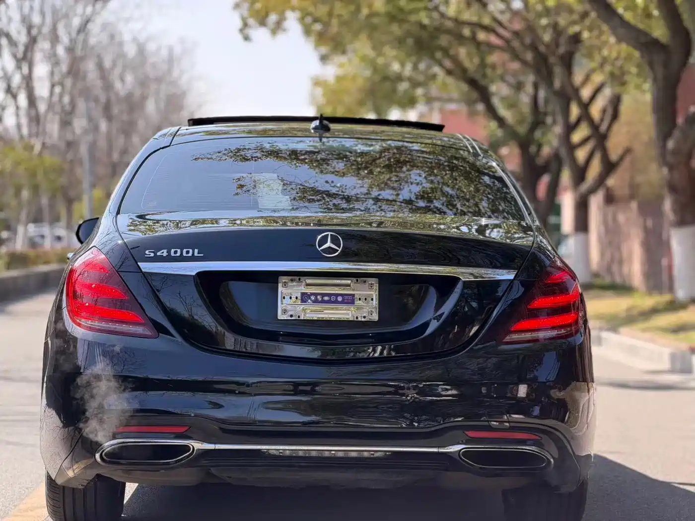 Mercedes-Benz S-Class 2016 S 320 L Luxury фото 8