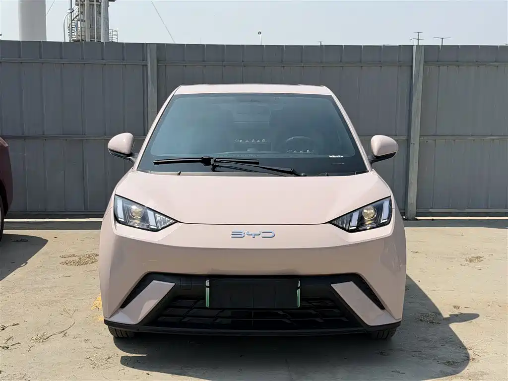 BYD Seagull 2025 305km Vitality фото 3