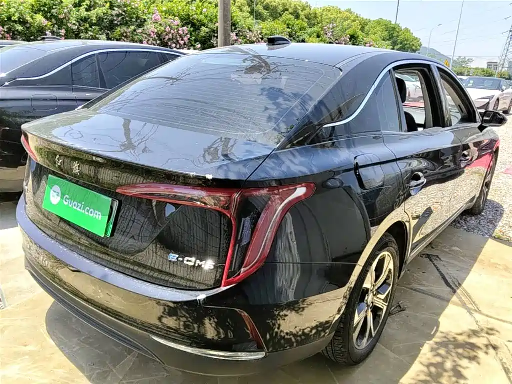 Hongqi E-QM5 2023 Facelift Basic Travel Edition фото 7