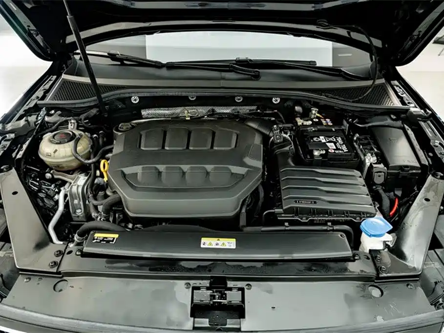 Volkswagen Magotan 2024 2 Million Units Public Sharing Edition 330TSI DSG Luxury фото 24