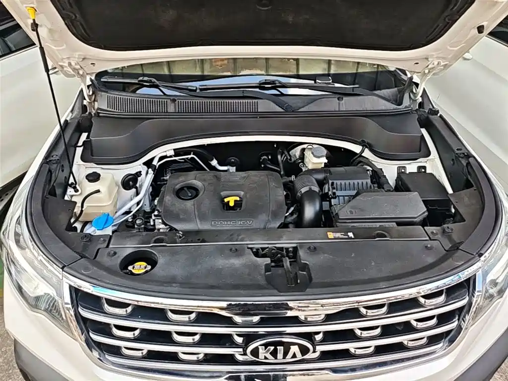 Kia Sportage 2018 2.0L Automatic Smart Luxury (China V) фото 20