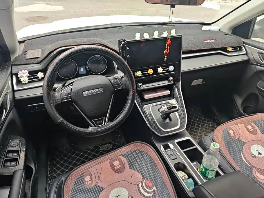 Photo 11 - Haval M6