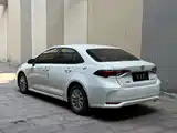 صورة 8 - Toyota Corolla