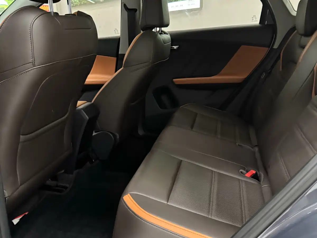 BYD e2 2021 2020 Upgraded Long Range Luxury