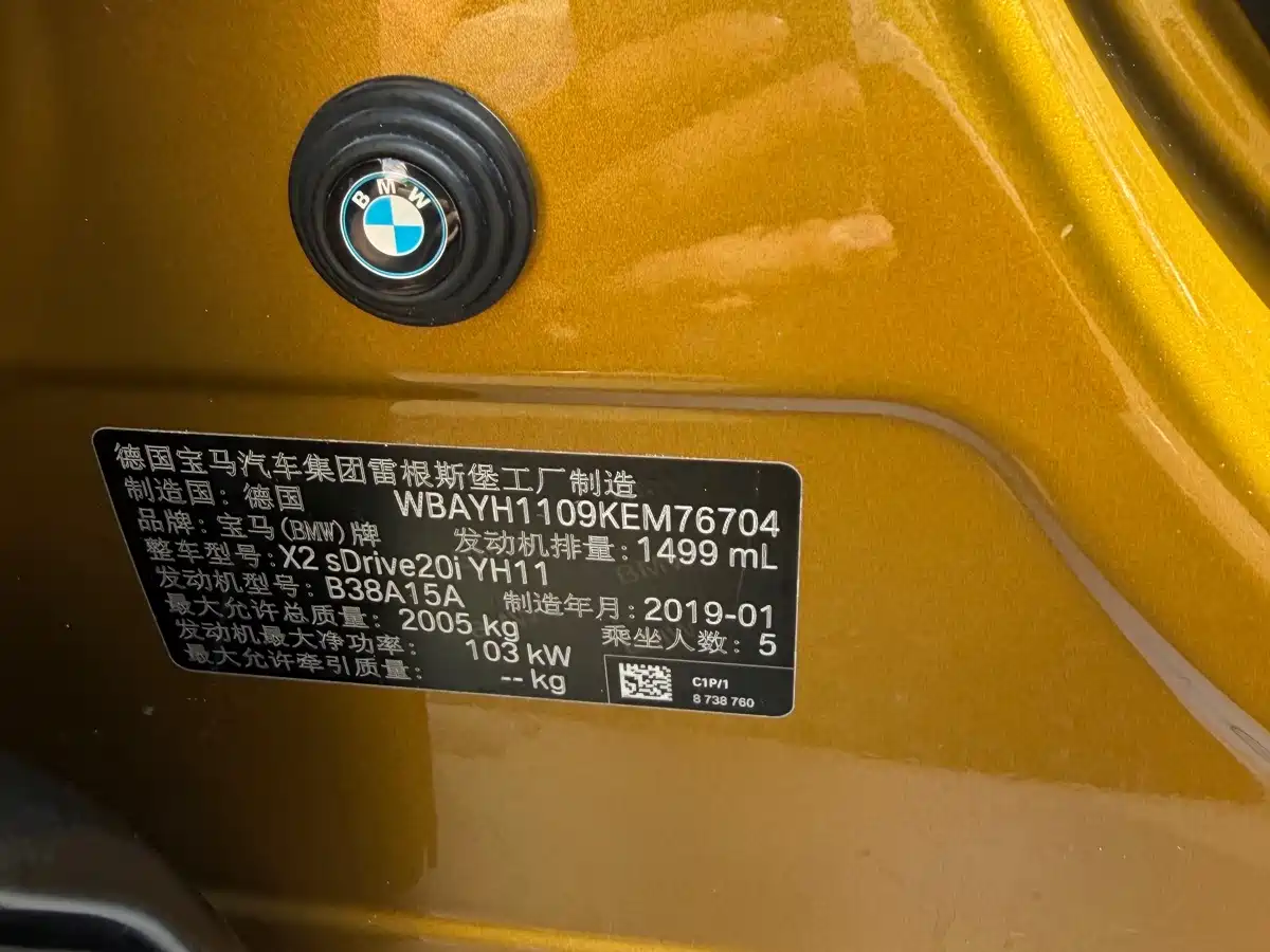 BMW X2 (Import) 2019 2019 sDrive20i M Off-Road Package China VI