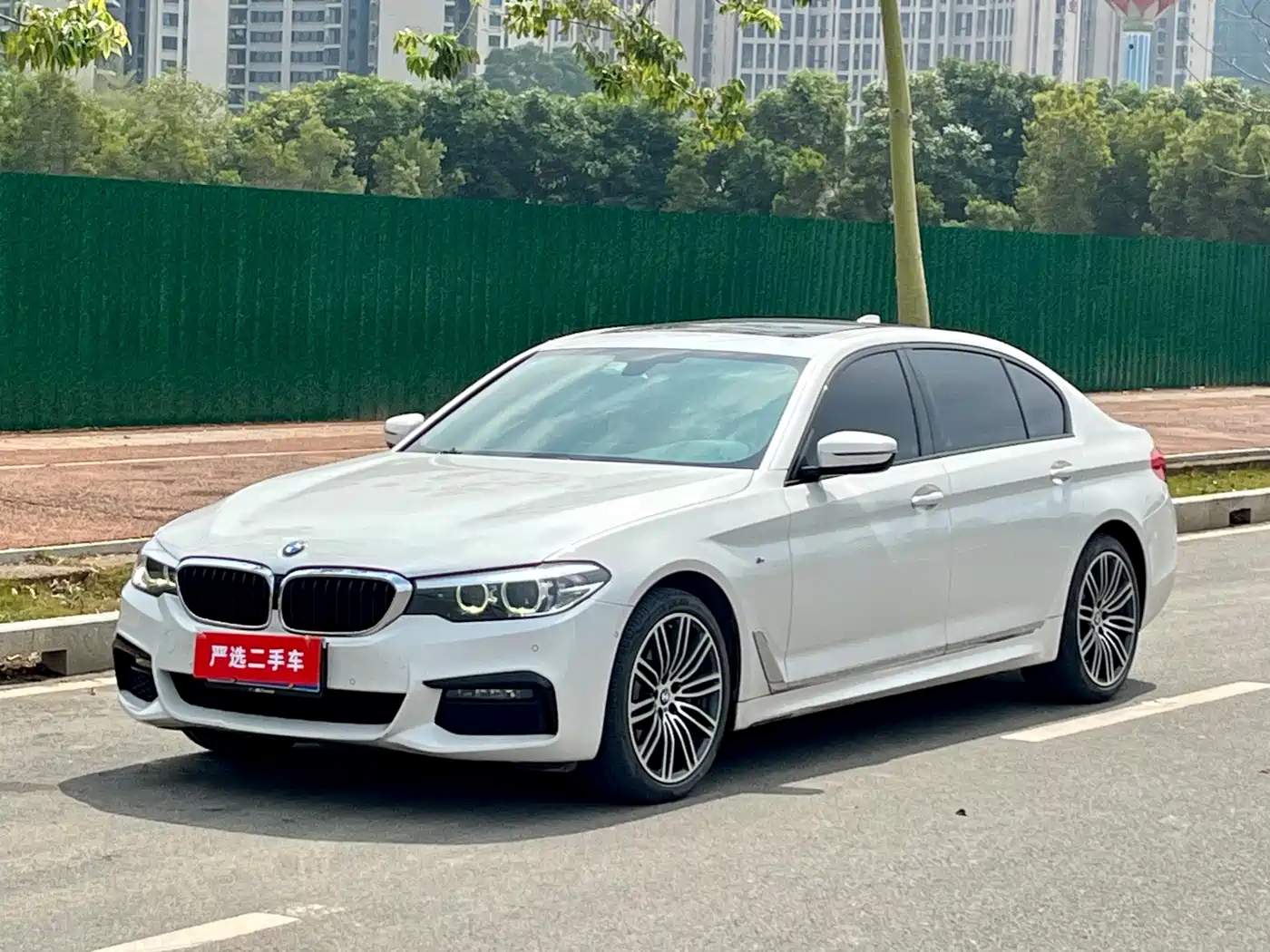 BMW 5 Series 2019 530Li Leading M Sport Package фото 10