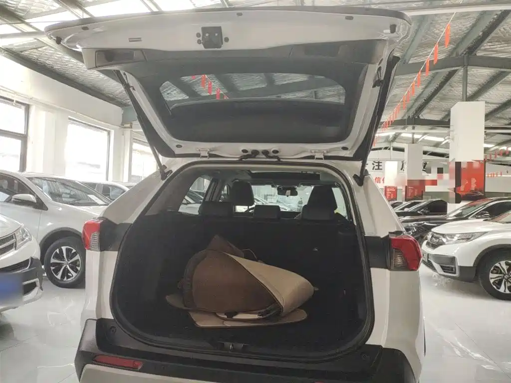 Toyota RAV4 Rongfang 2023 2.0L CVT 2WD 20th Anniversary Platinum Edition фото 19