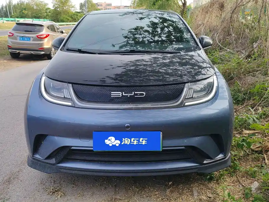 BYD Dolphin 2023 401km Knight Edition фото 2