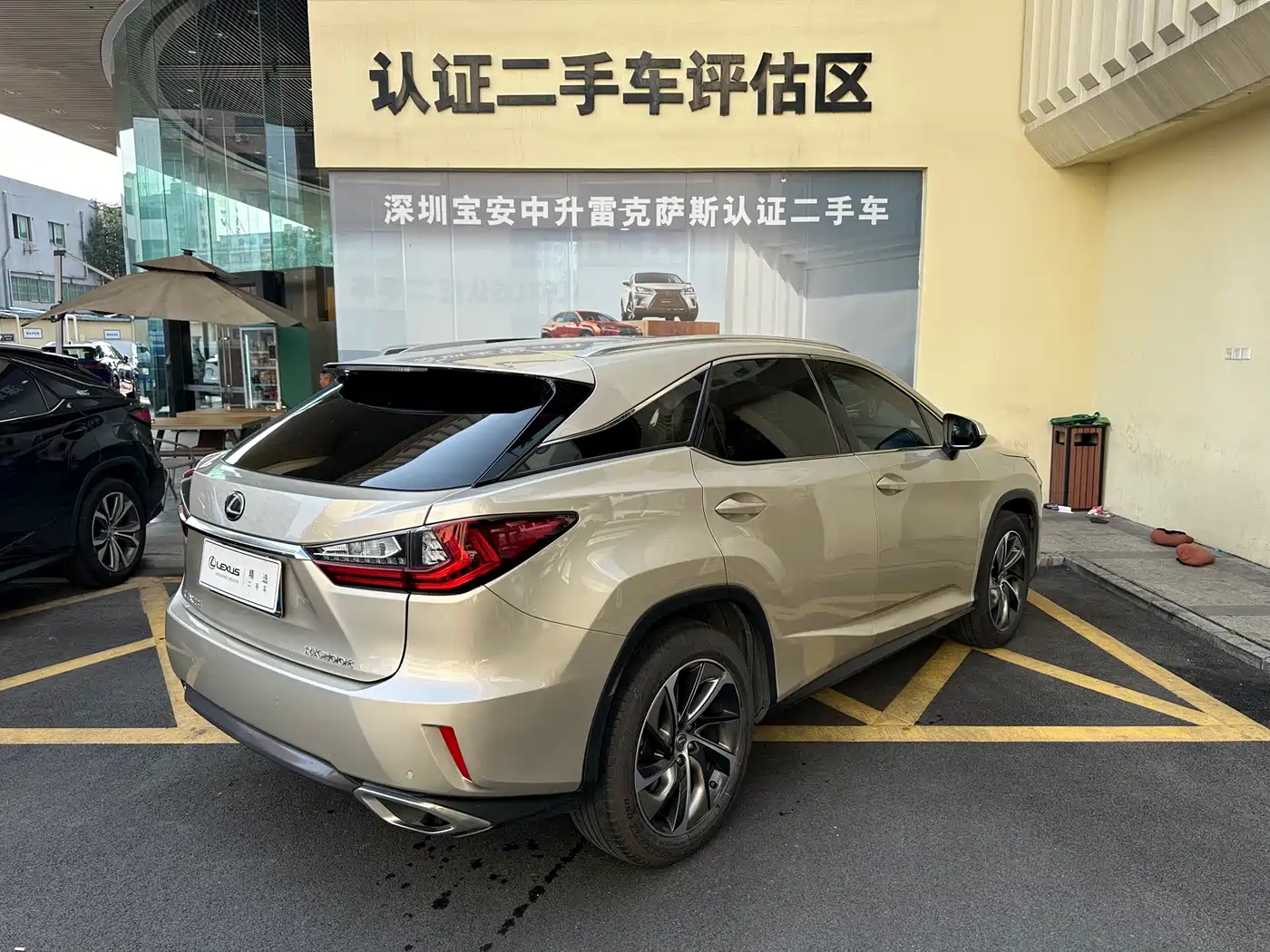 Lexus RX 2016 300 4WD Elegance Edition (China V) фото 26