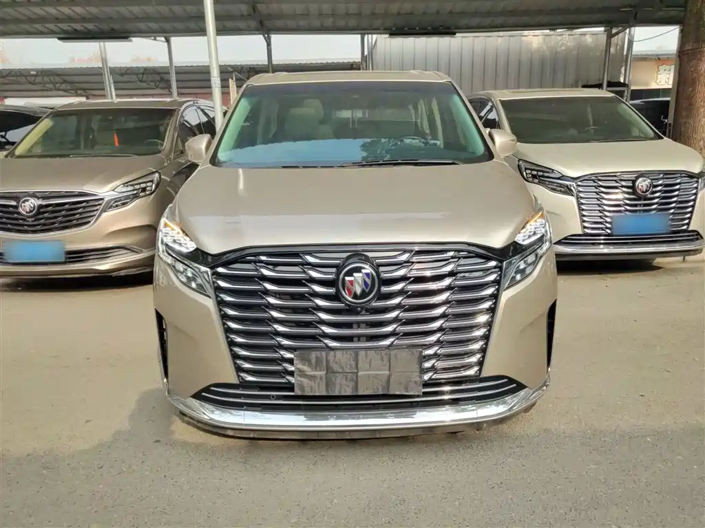 Buick GL8 2023 ES Landmaster Luxury фото 19