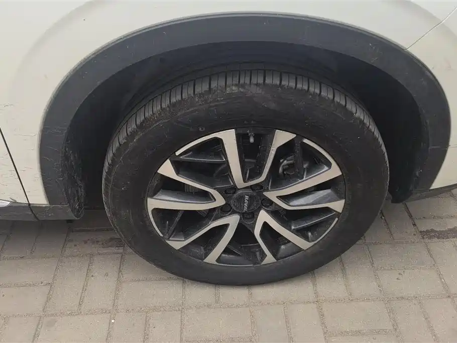 Haval H6 2021 3rd Gen 1.5T Auto 2WD Pro фото 6