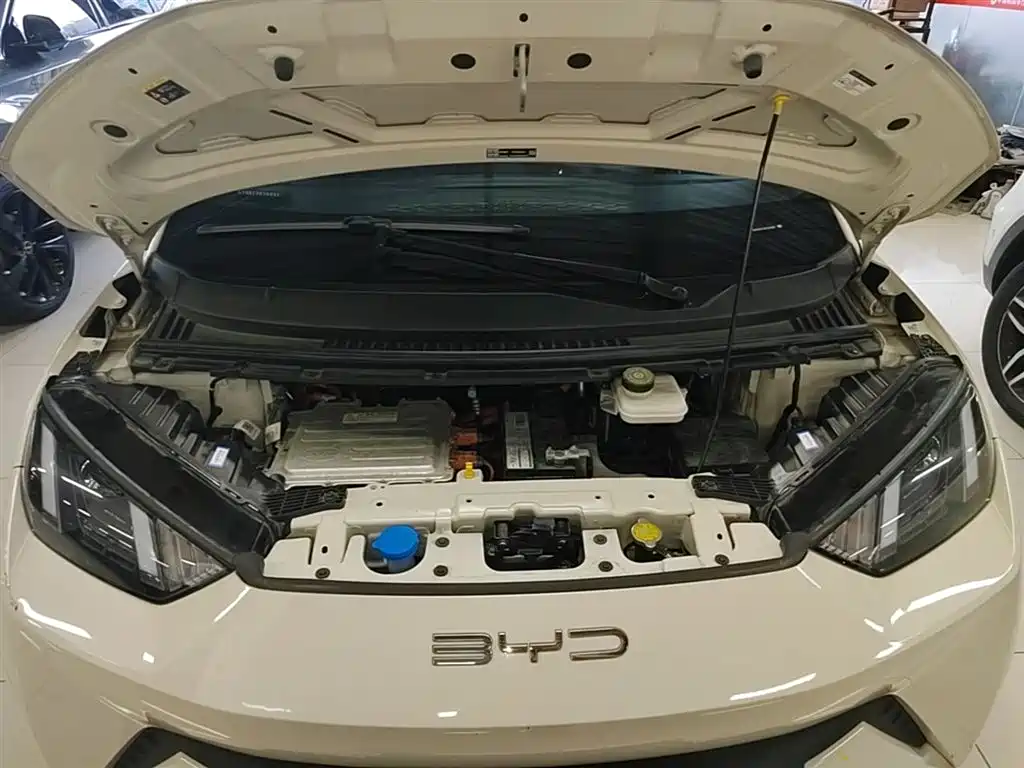 BYD Seagull 2023 Vitality Edition фото 20
