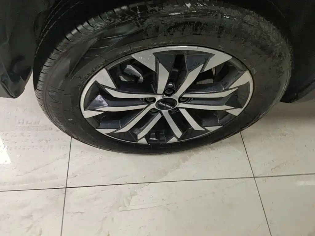 Фото 23 - Haval Dargo