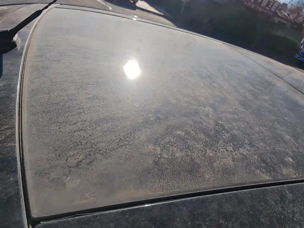 Ford Edge (Import) 2015 2012 2.0T Elite Sunroof Edition