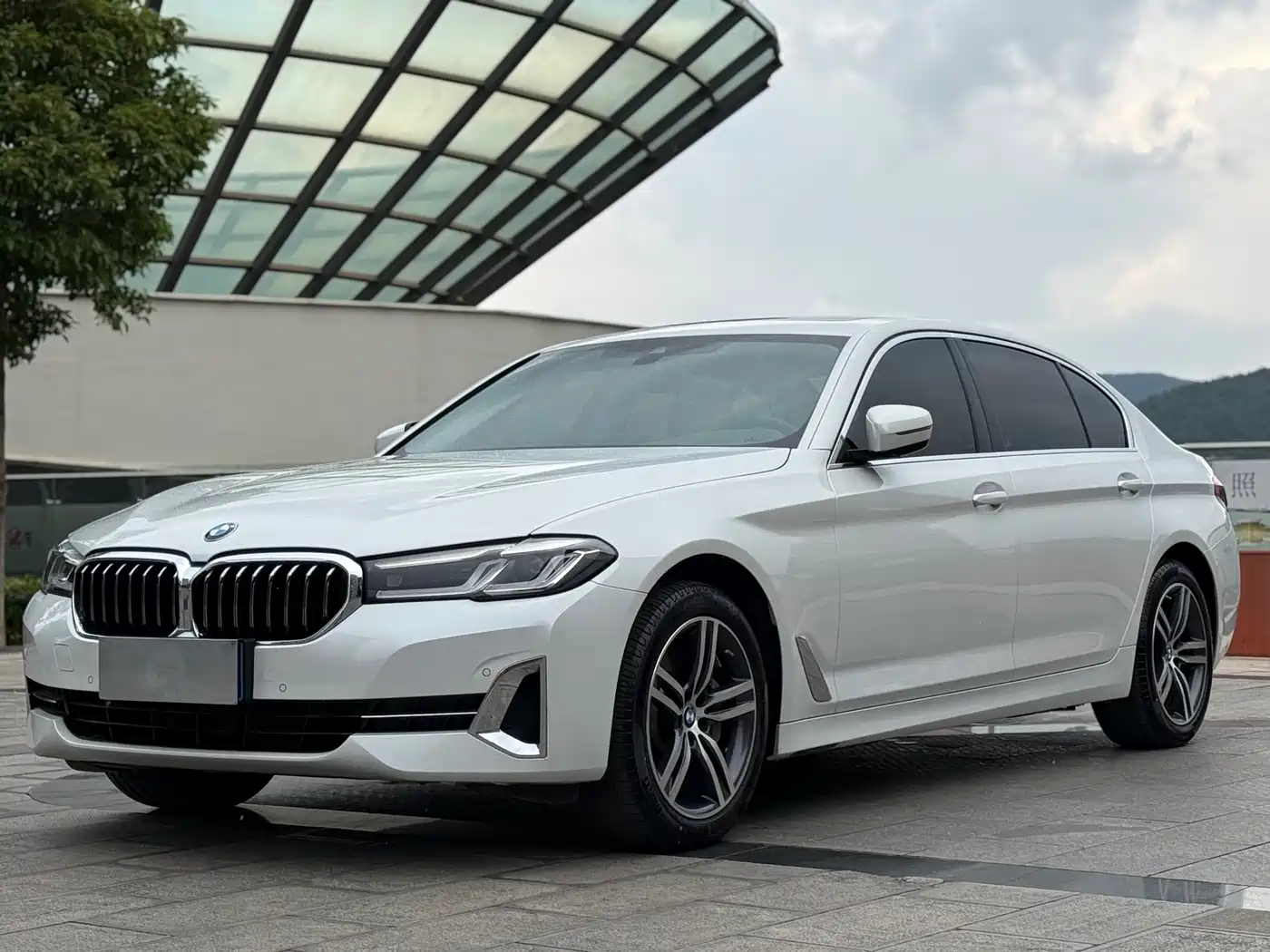 BMW 5 Series 2023 530Li Leading Luxury Package
