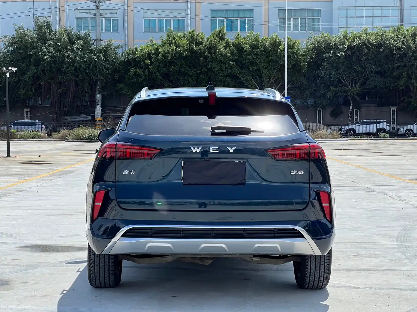 WEI PAI WEI BRAND MOCHA