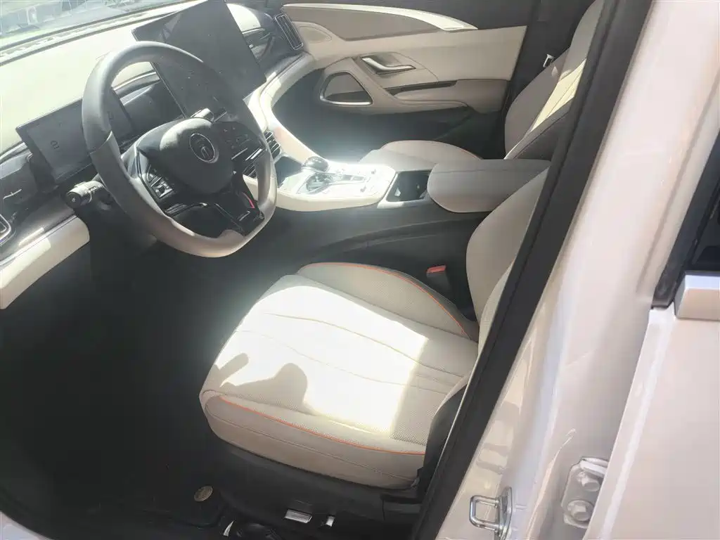 BYD Song Pro New Energy 2024 Glory Edition DM-i 110KM Excellence фото 15