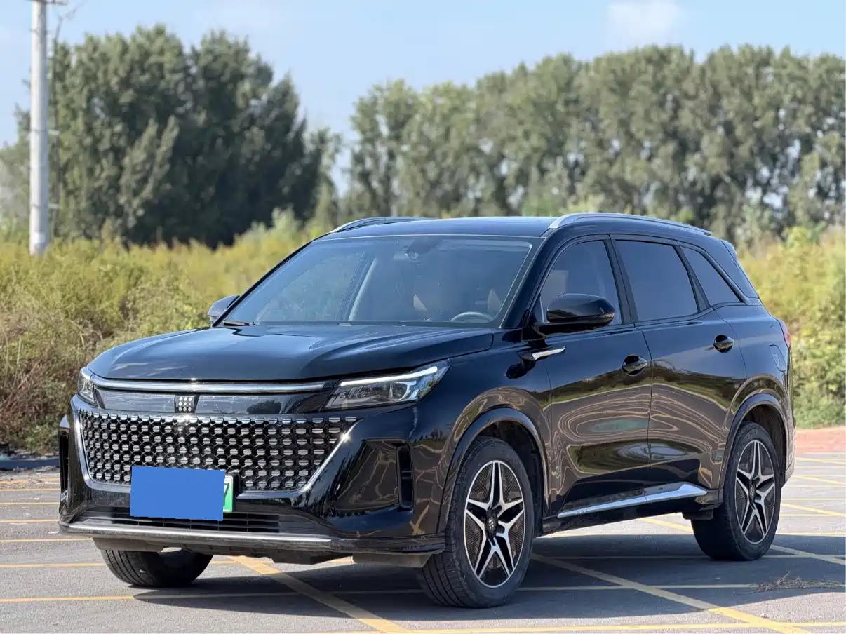Landian E5 2024 2024 Glory Edition 100KM Premium Type 7-Seater