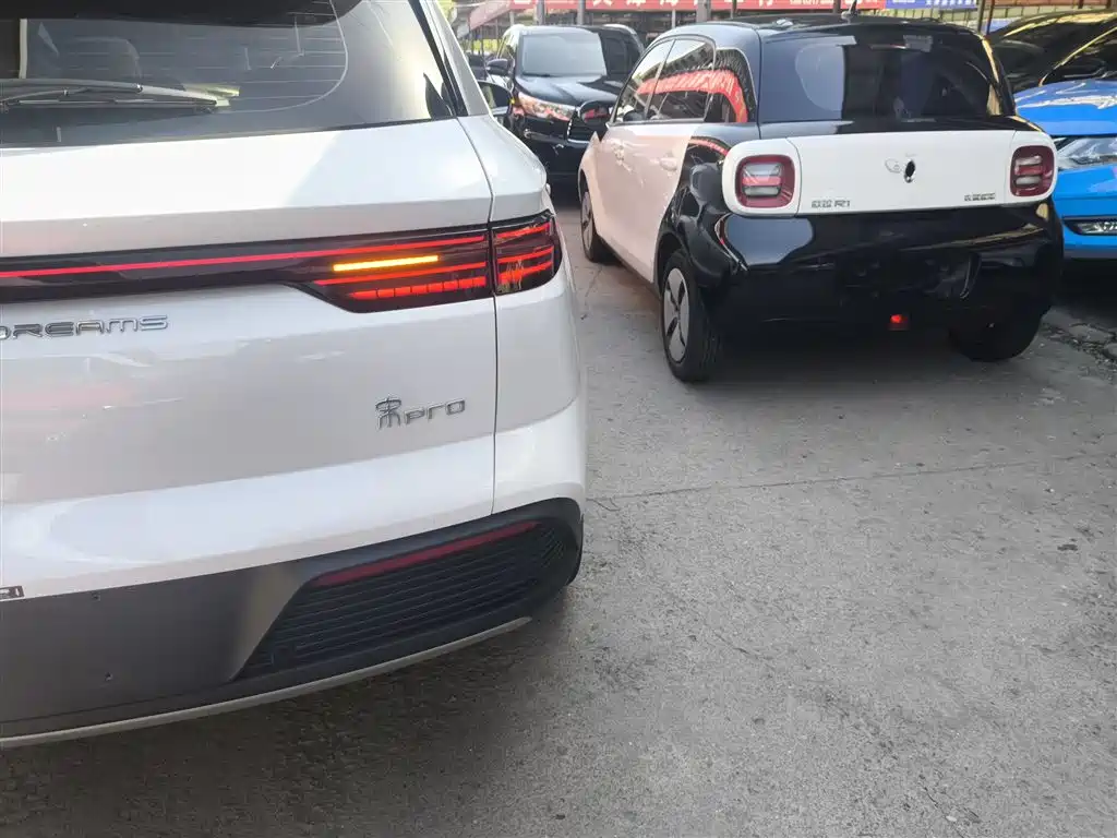 BYD Song Pro New Energy 2024 Glory Edition DM-i 110KM Excellence фото 8