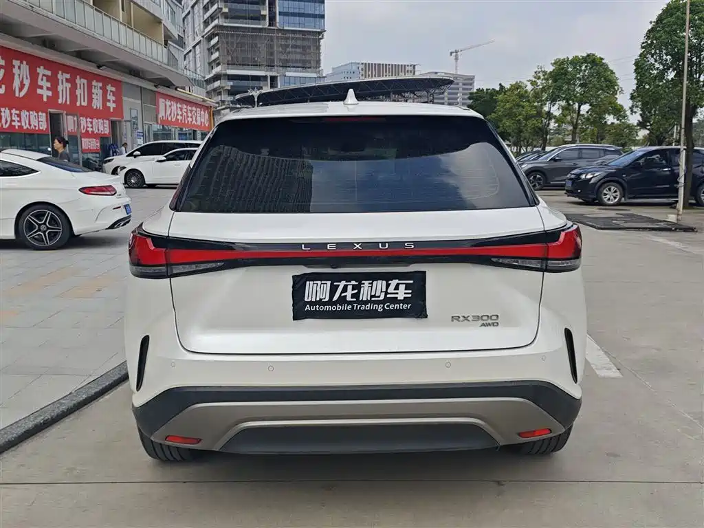 Фото 4 - Lexus RX