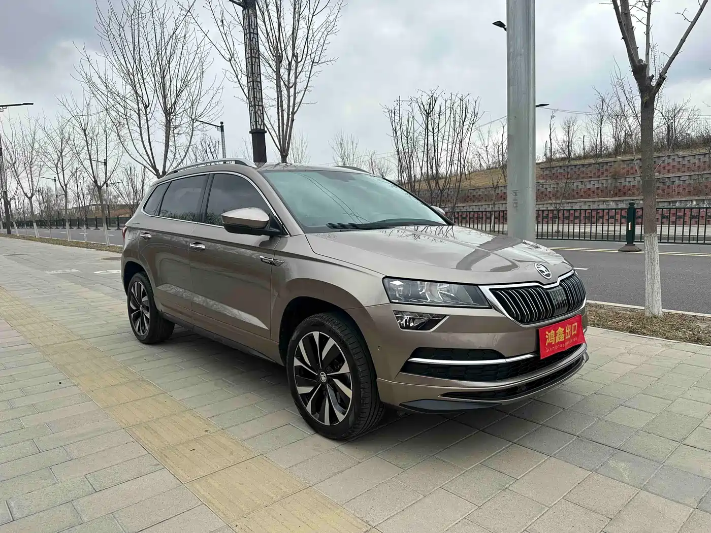 Škoda Karoq 2022 TSI280 Luxury Edition фото 3