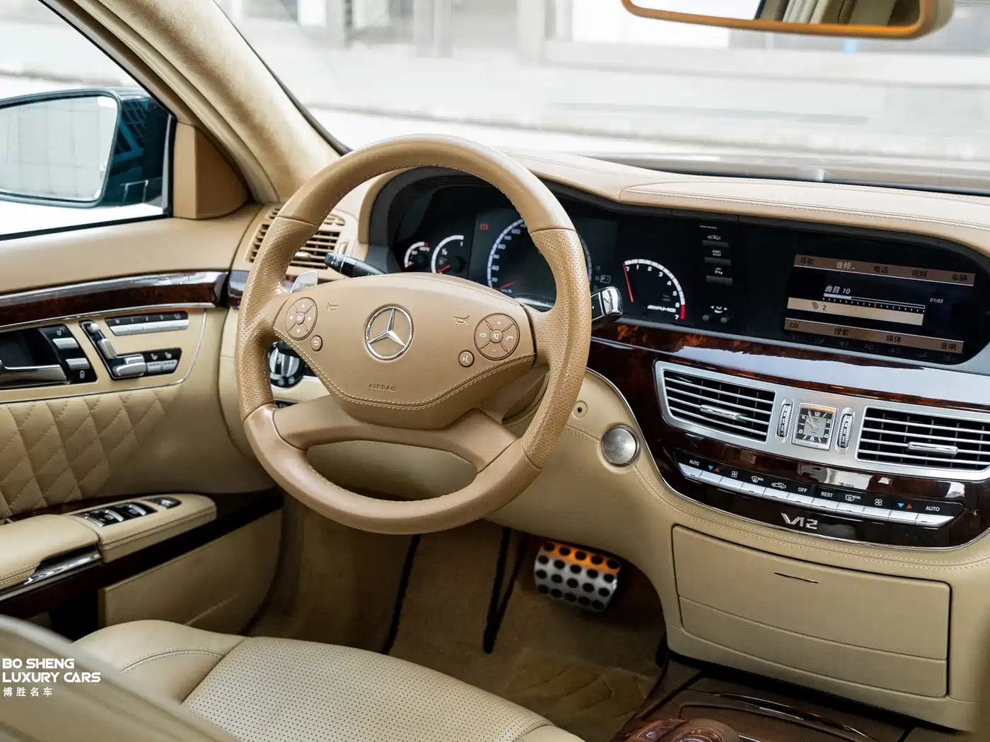 Mercedes-Benz S-Class AMG 2010 AMG S 65 фото 24