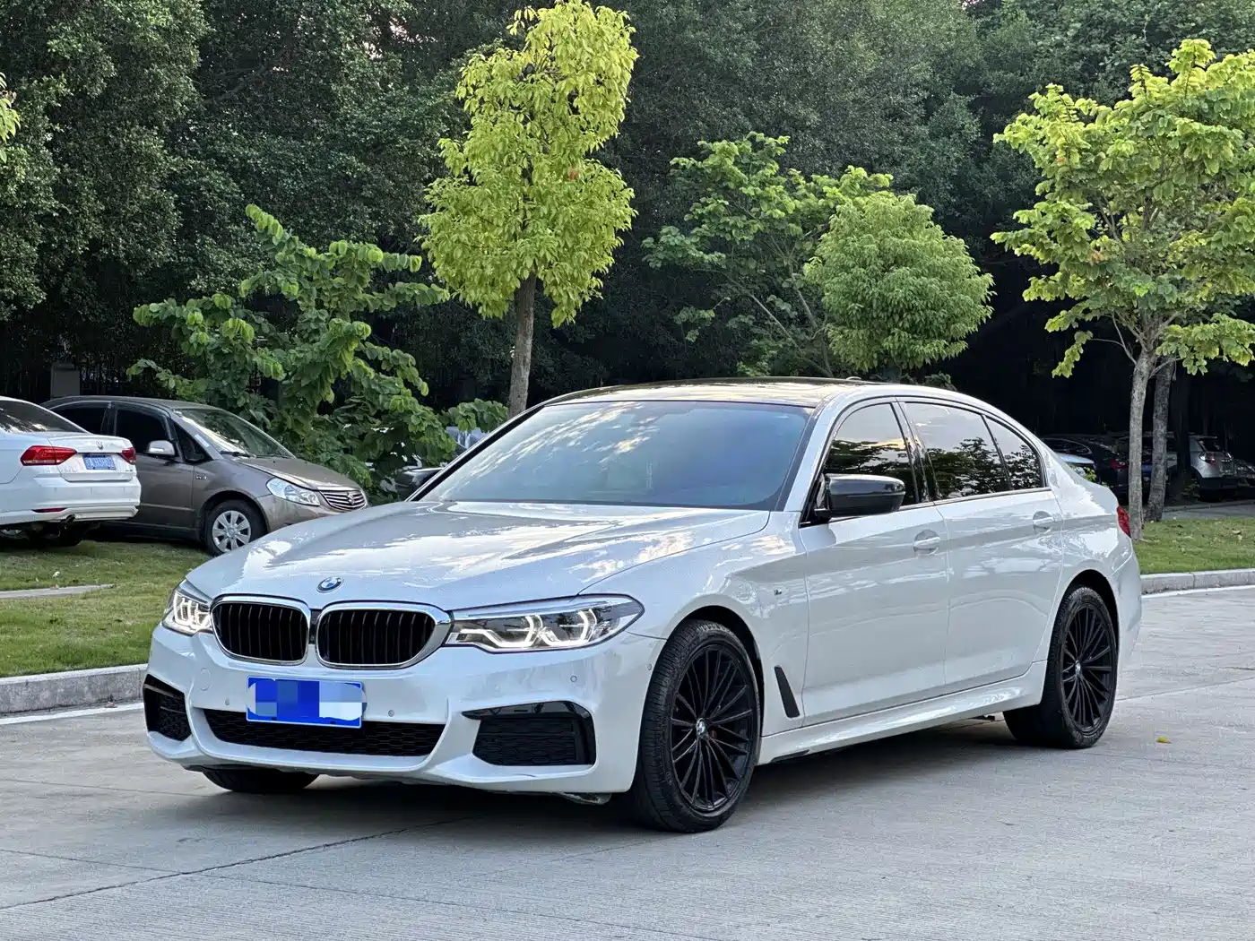 BMW 5 Series 2019 530Li Premium M Sport Package