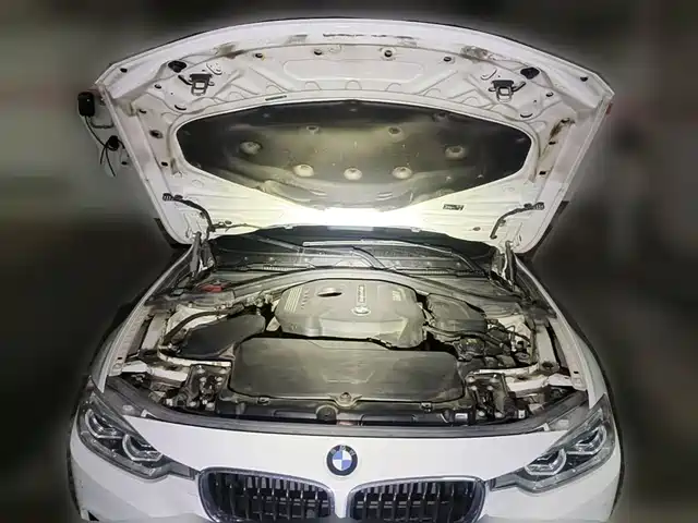 BMW 3 Series 2019 320Li M Sport Package — фото 3