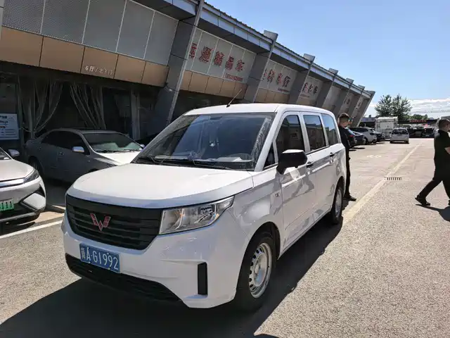 Wuling Motors Wuling Hongguang PLUS 2020 1.5L Manual Standard 5-seater