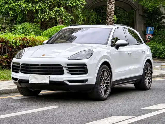 Porsche Cayenne 2023 Cayenne 3.0T Platinum Edition