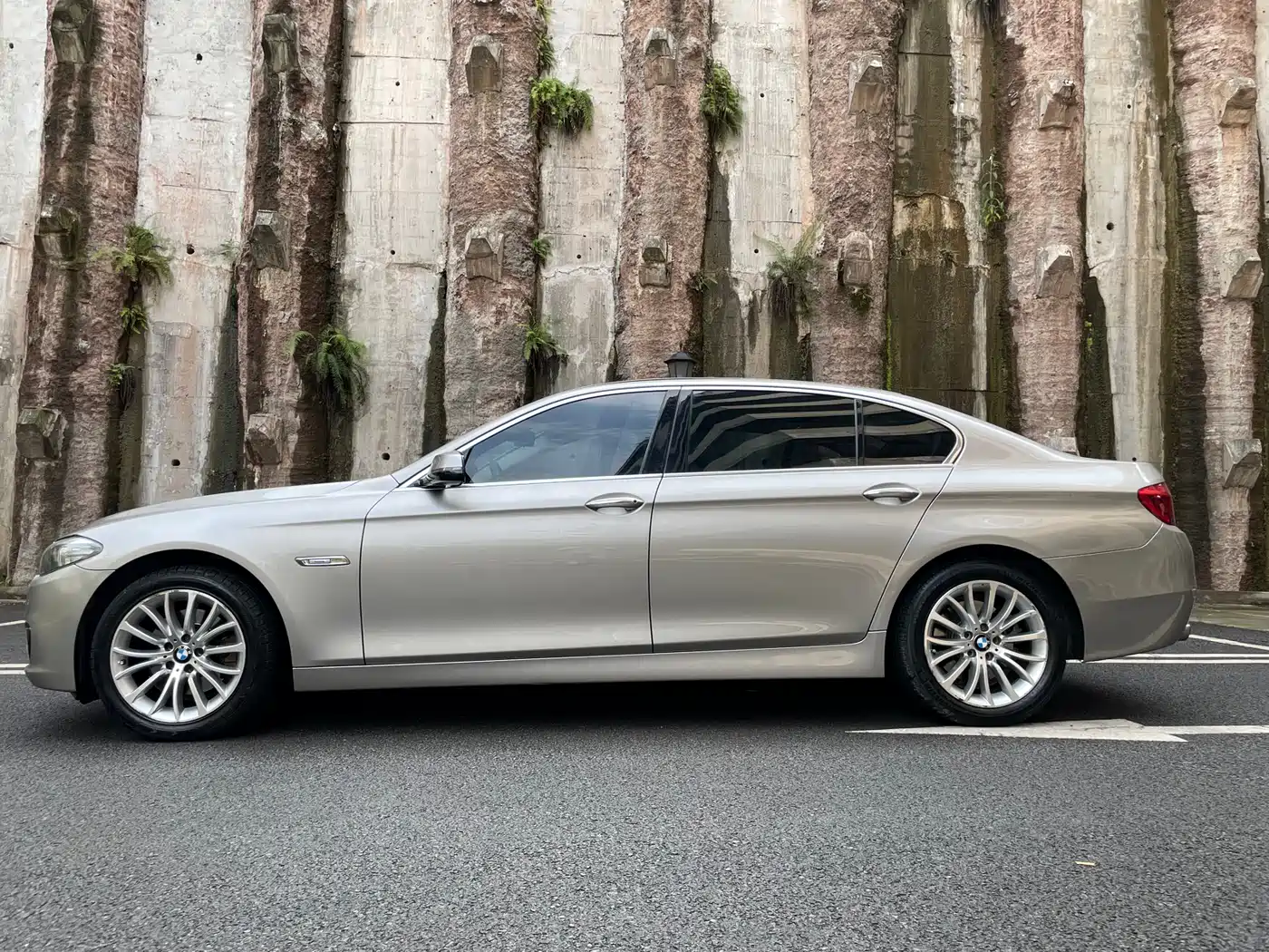 BMW 5 Series 2014 525Li Luxury Design Package фото 4