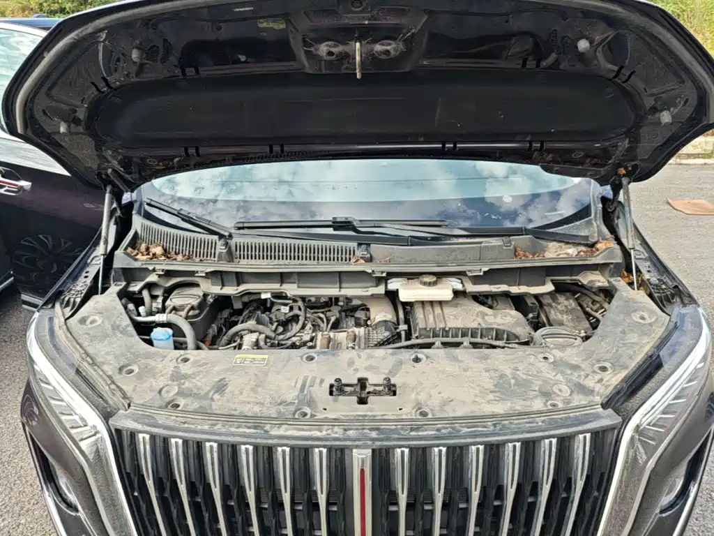 Hongqi HQ9 PHEV 2025 2024 Model 2.0T AWD Business Edition