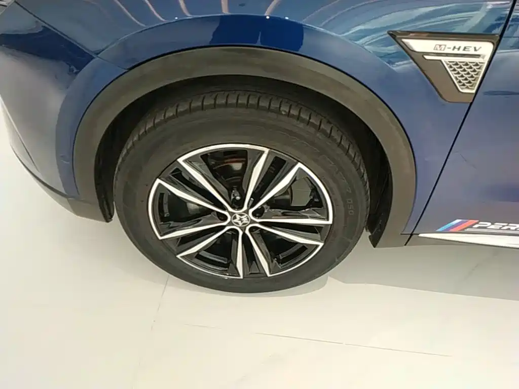Venucia Star 2021 2020 260T Automatic 48V Mild Hybrid Turbo Starlight Edition
