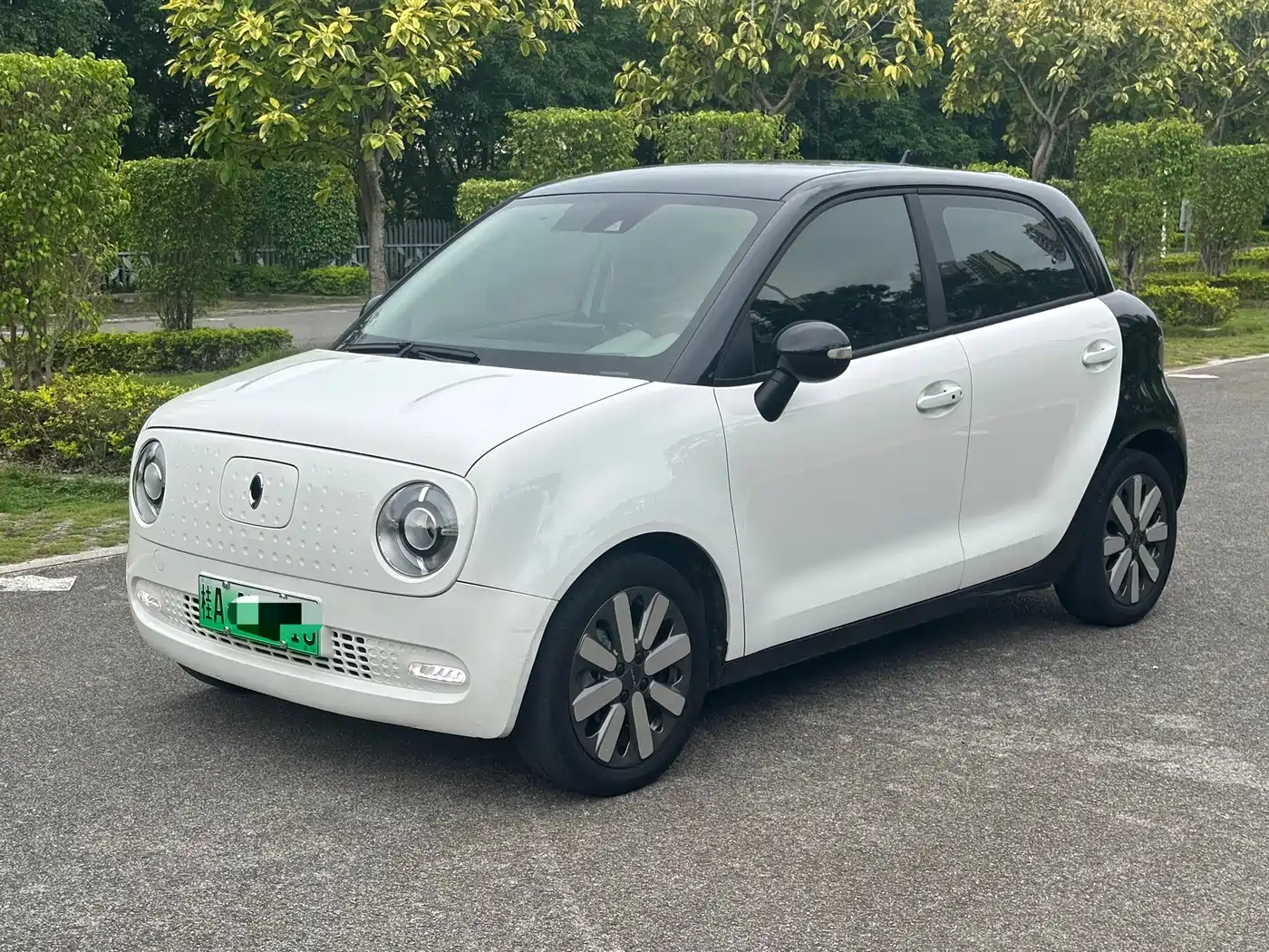 Ora Black Cat 2021 351km Luxury Model