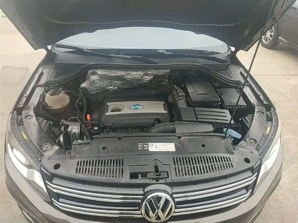 Volkswagen Tiguan 2013 1.8TSI Automatic 2WD Luxury Model фото 20
