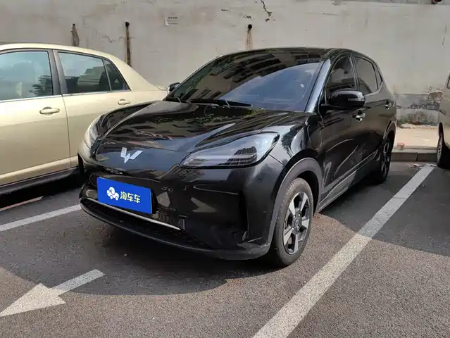 Wuling Motors Wuling Binguo PLUS 2024 Model 510km Flagship Edition 4-Seater