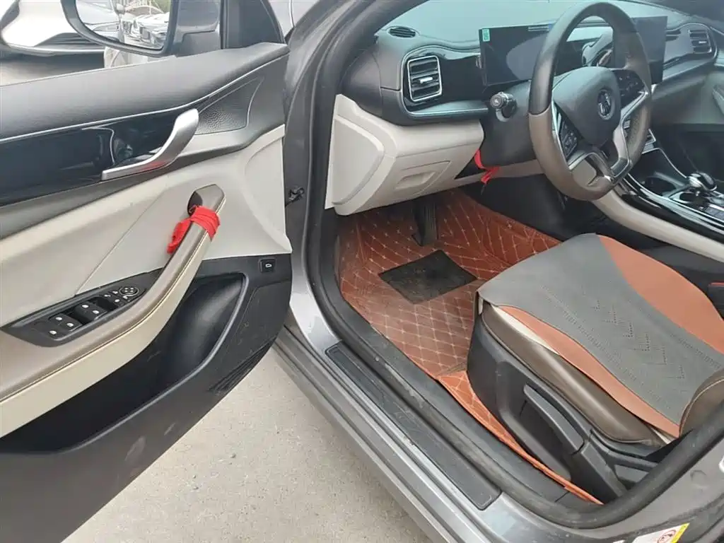 BYD Qin PLUS 2023 Champion Edition EV 420KM Leading Type фото 16