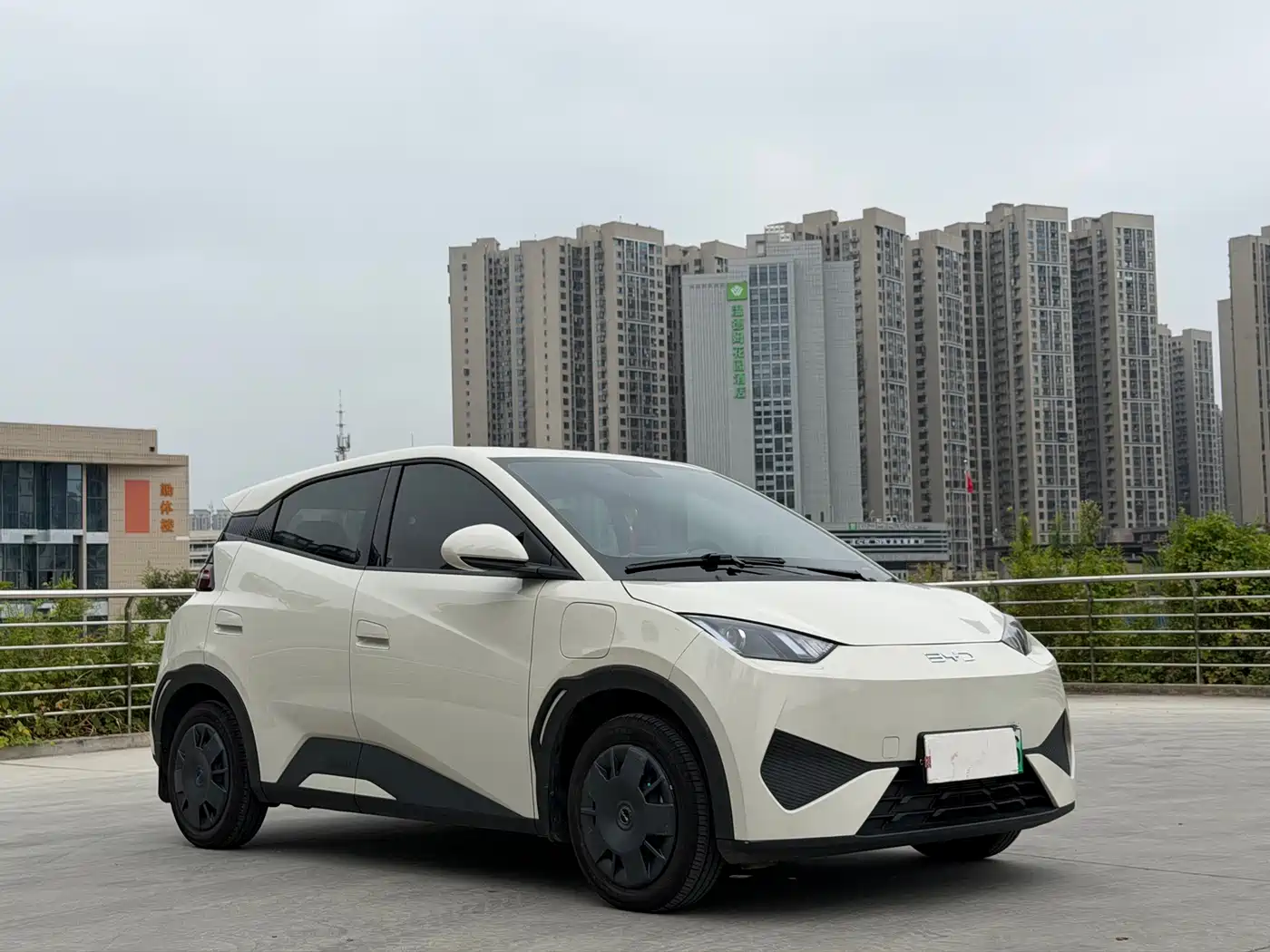 BYD Seagull 2026 2025 Smart Drive Edition 305km Vitality Version