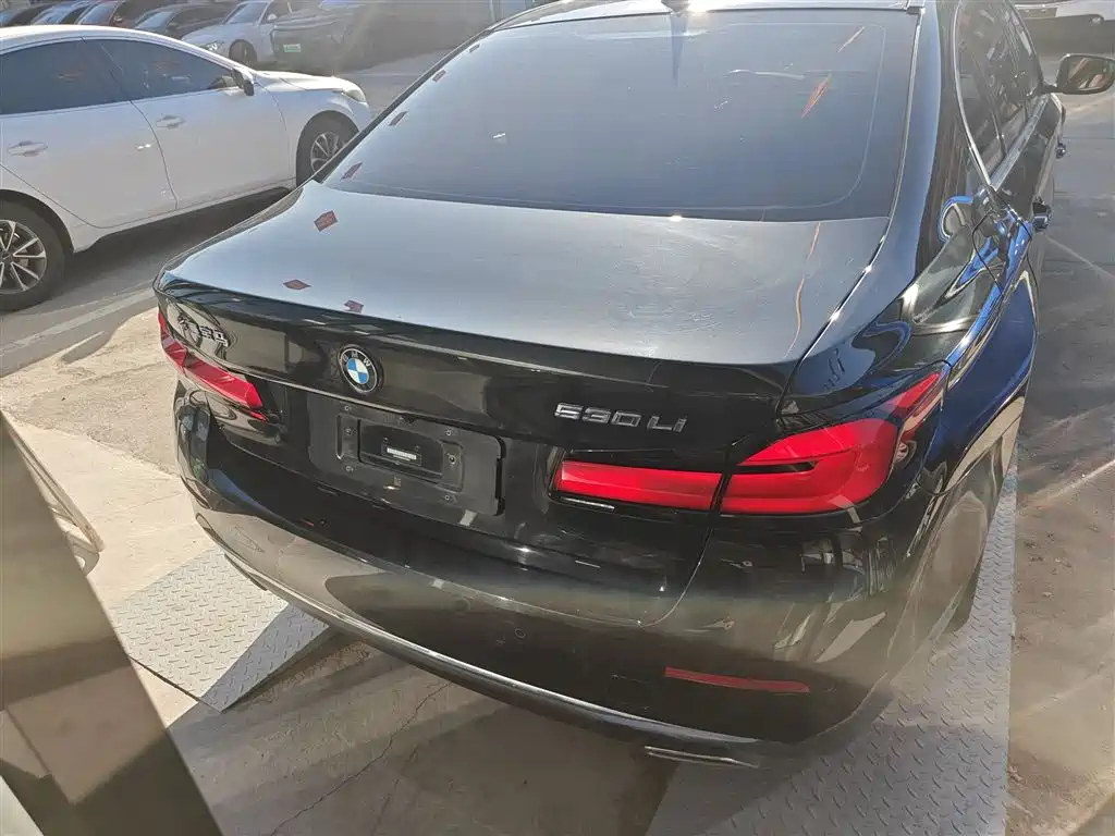 BMW 5 Series 2021 Facelift 530Li Leading Luxury Package фото 21