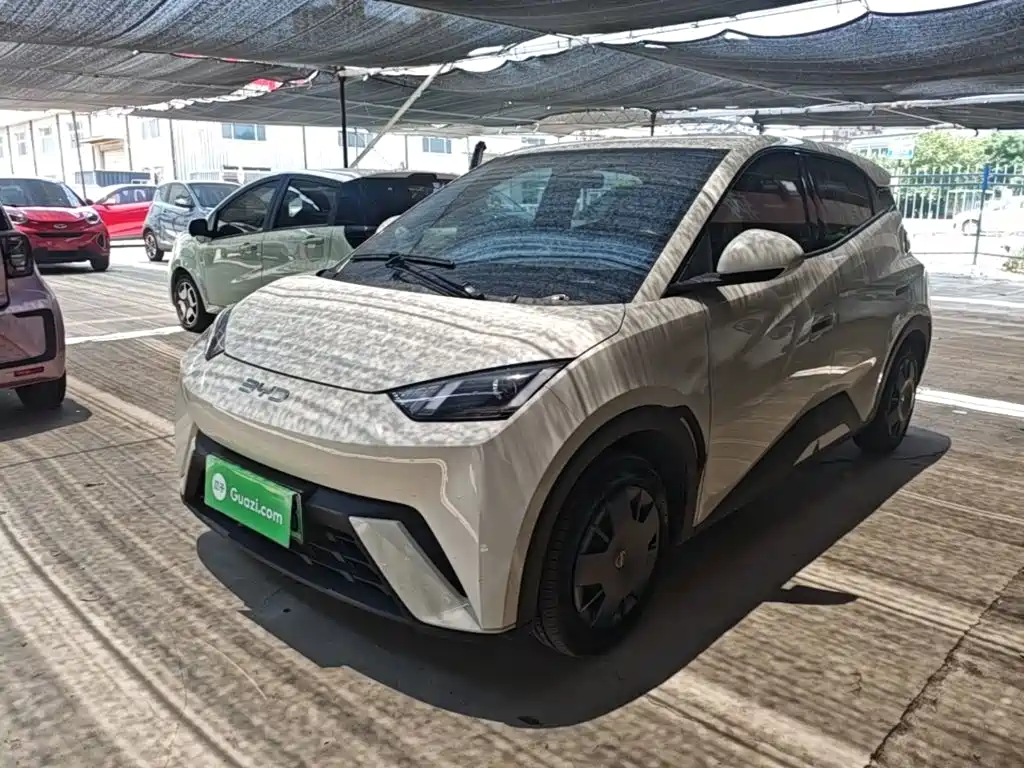 BYD Seagull 2023 Vitality Edition