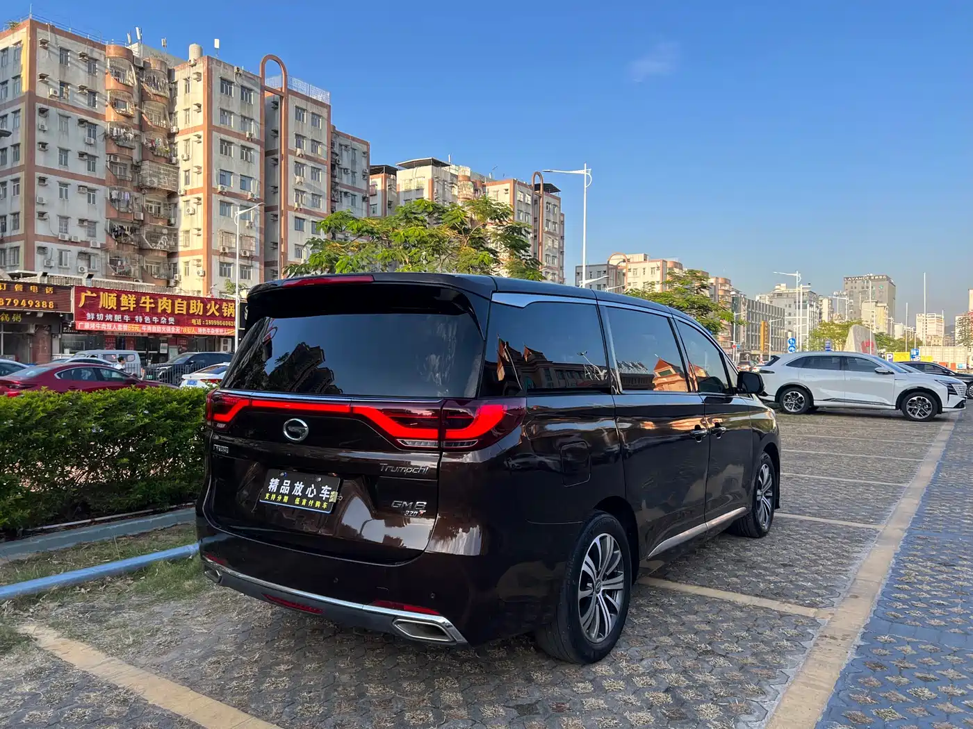 GAC Trumpchi Trumpchi M8 2018 320T Premium Edition фото 6