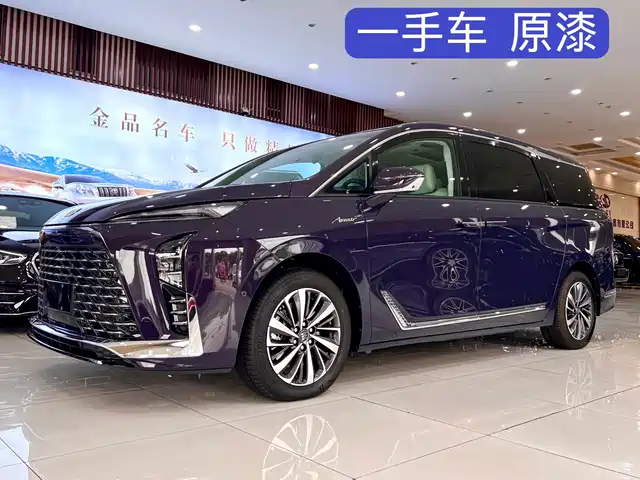 Buick GL8 Люкс, Luxury Enjoy