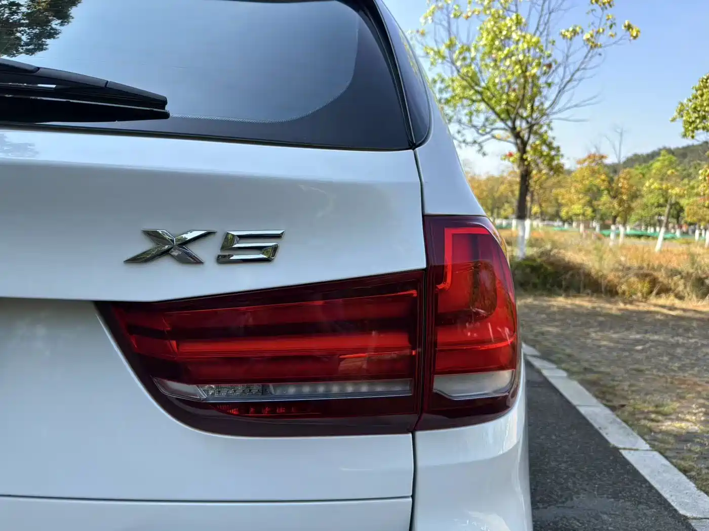 BMW X5 (Import) 2014 xDrive35i Luxury фото 16