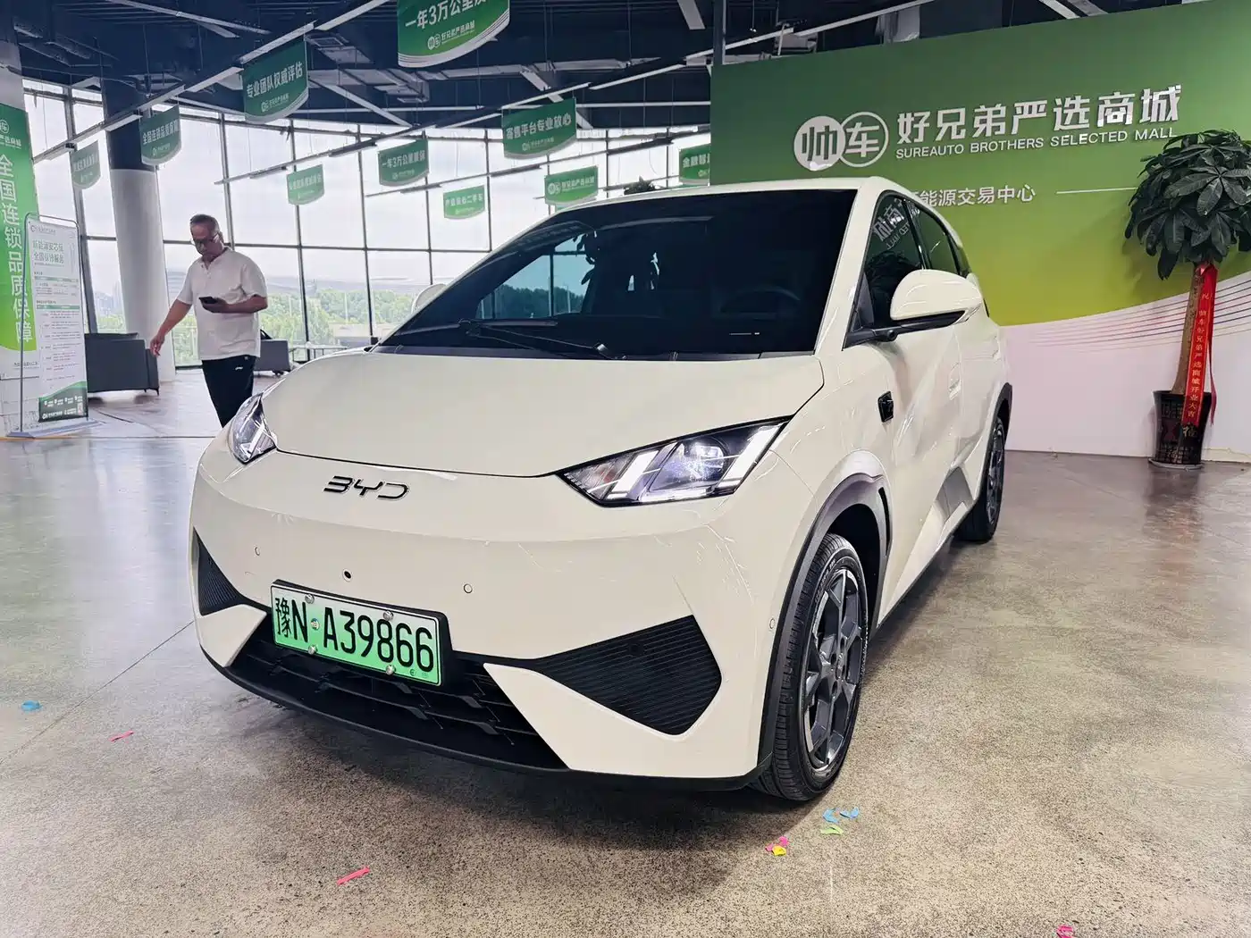 BYD Seagull 2025 Smart Drive Edition 305km Freedom Version