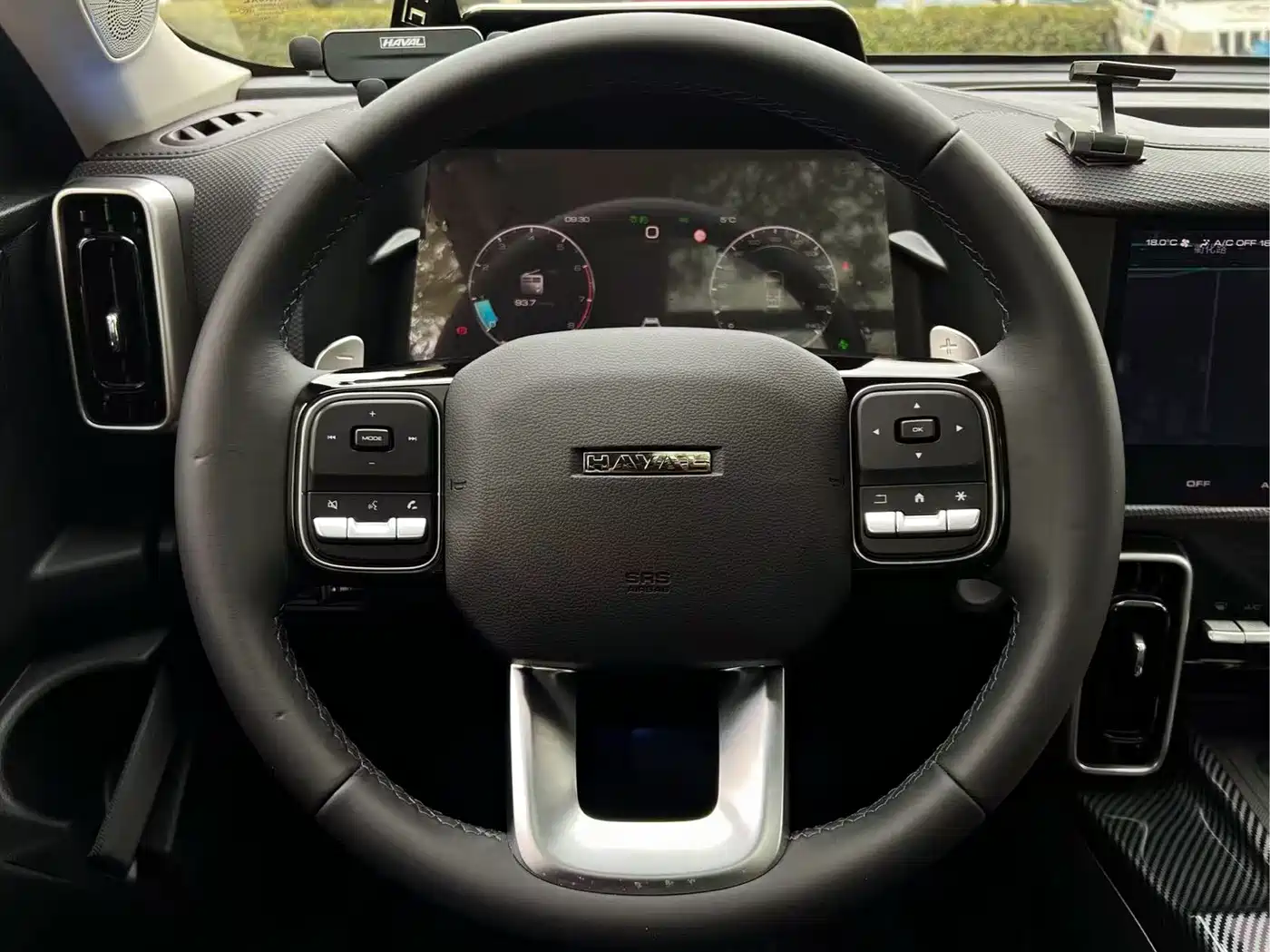 Haval Big Dog 2024 2.0T DCT Chinese Rural Dog Edition фото 14