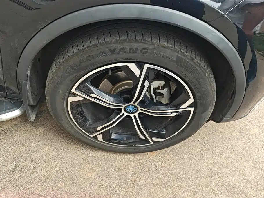 BYD Tang New Energy 2021 DM-i 112KM Honor фото 6