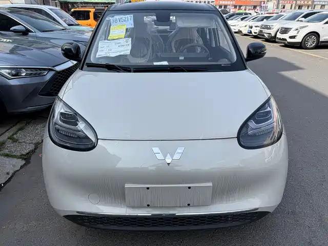 WULING WULING BINGGUO